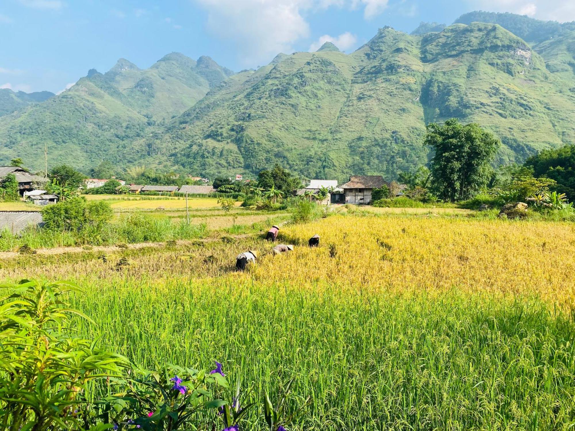 Du Gia Field View Homestay Lang Cac Exterior photo