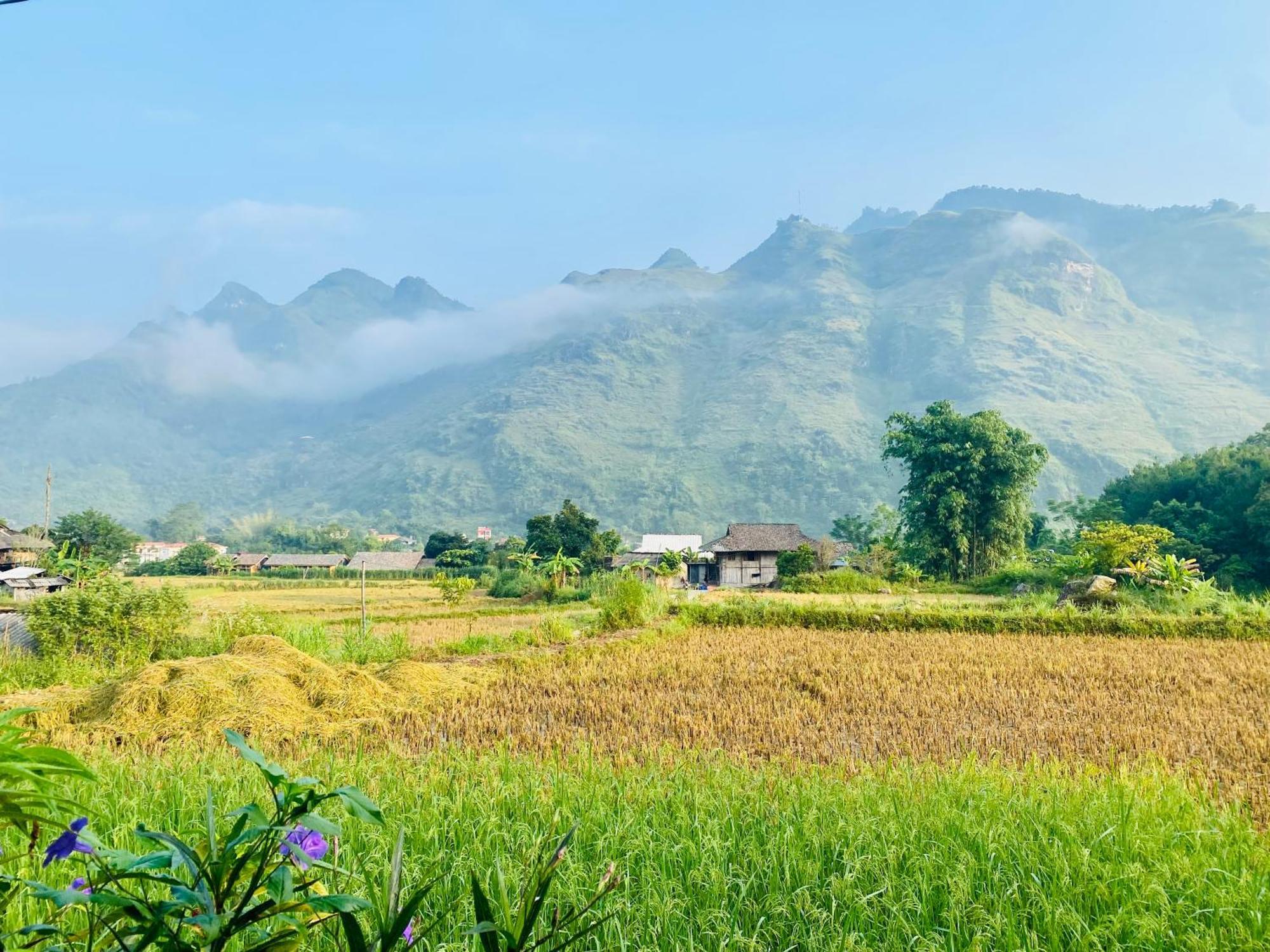 Du Gia Field View Homestay Lang Cac Exterior photo