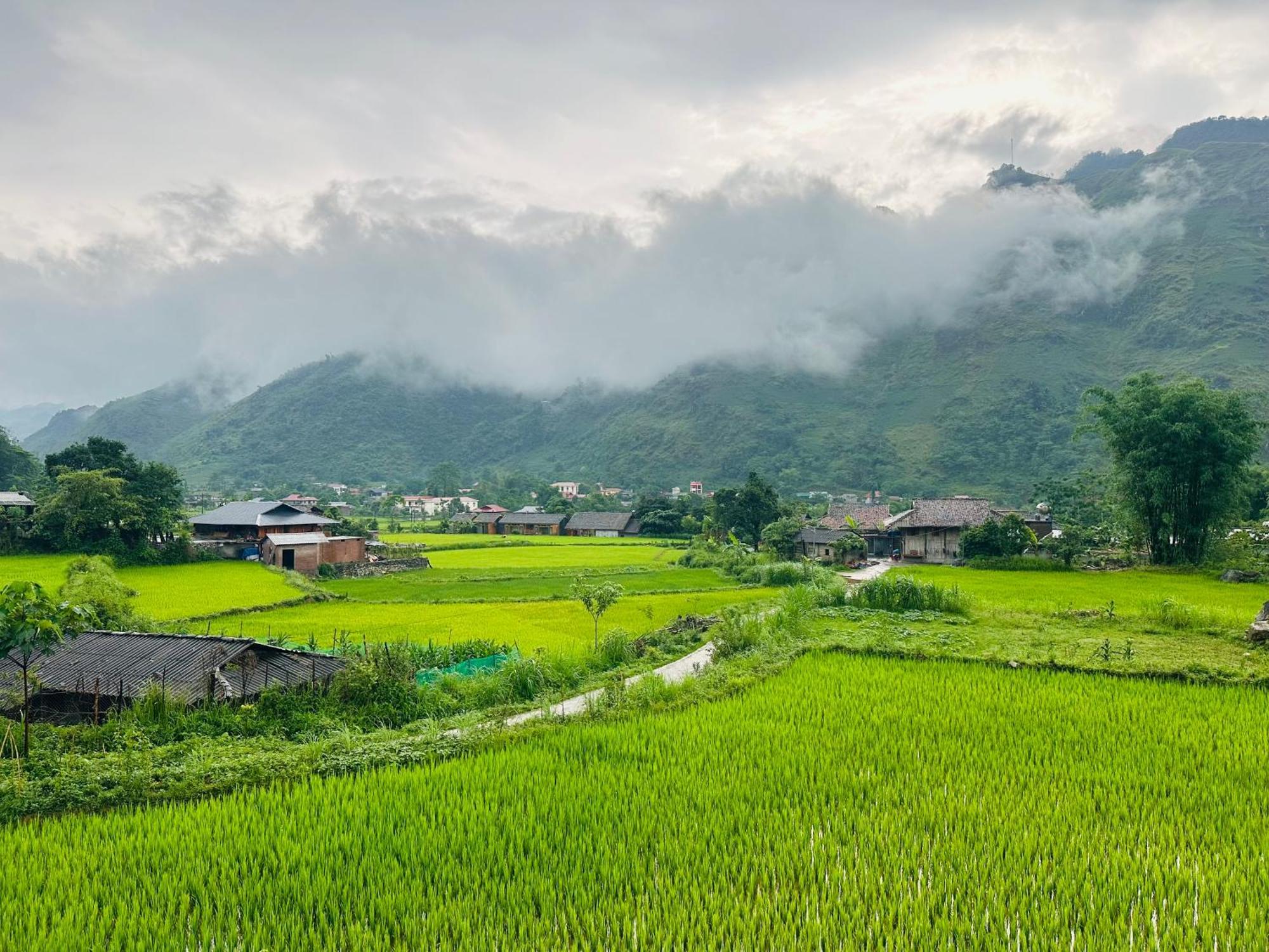 Du Gia Field View Homestay Lang Cac Exterior photo