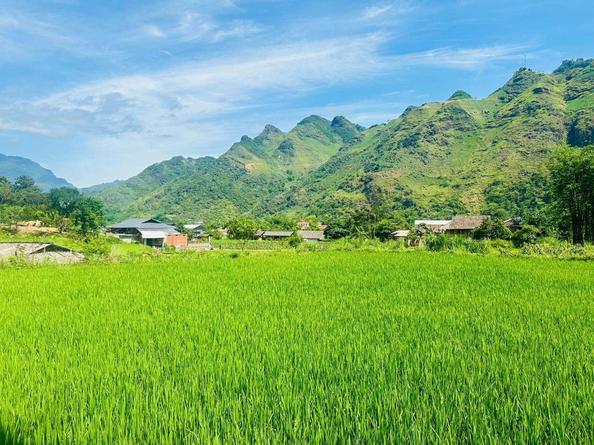 Du Gia Field View Homestay Lang Cac Exterior photo